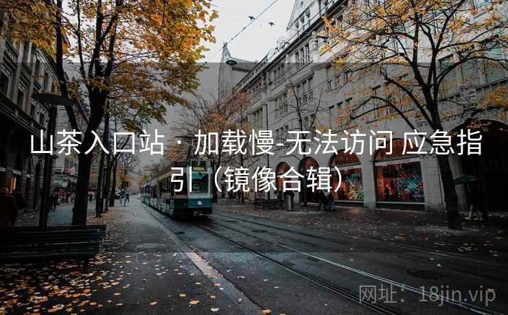 山茶入口站 · 加载慢-无法访问 应急指引（镜像合辑）